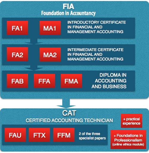 CAT/ FIA